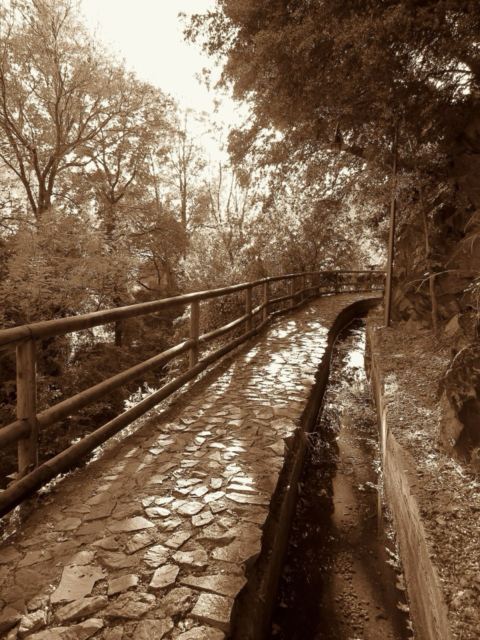 Rec del Solà Canal