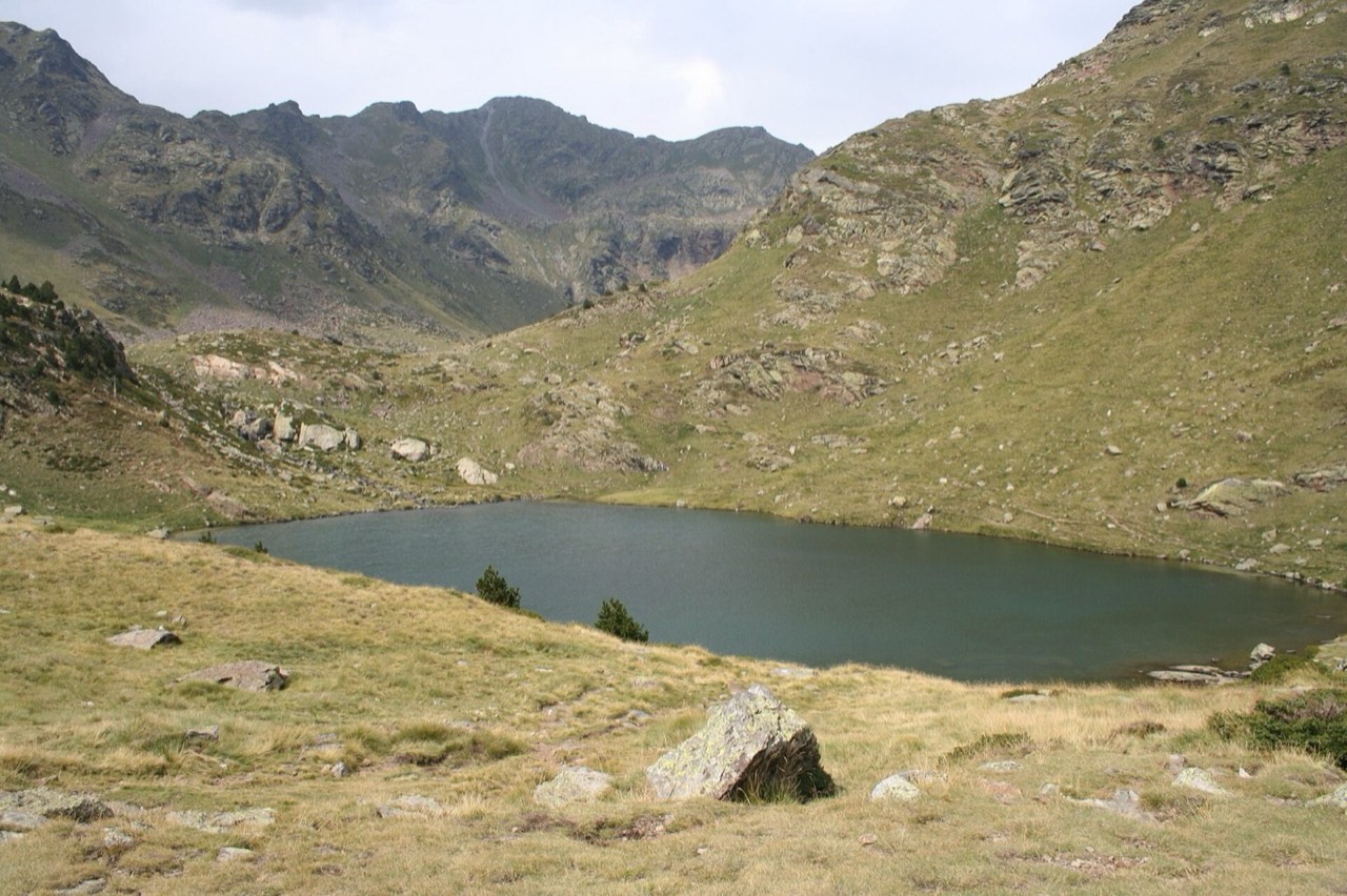 Estany Primer, Tristaina