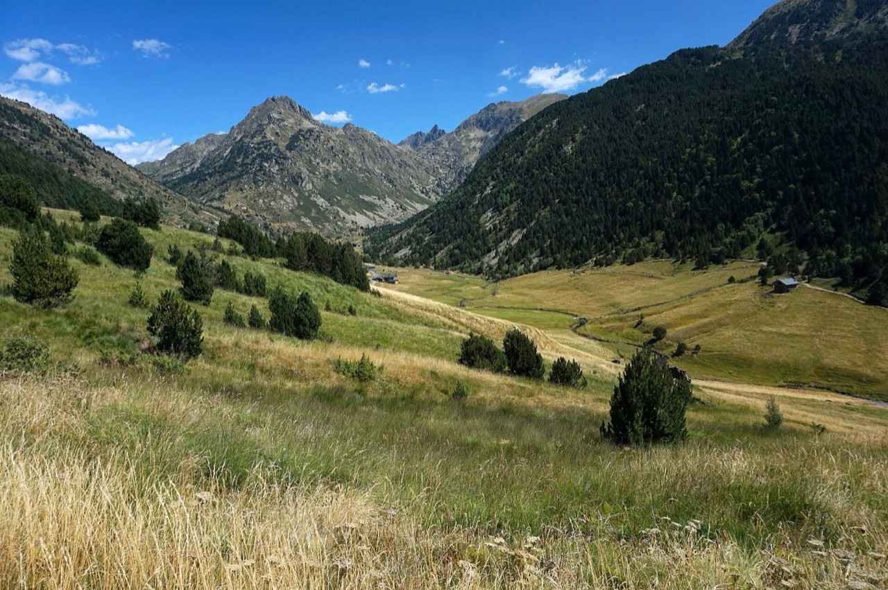 Lower Incles Valley