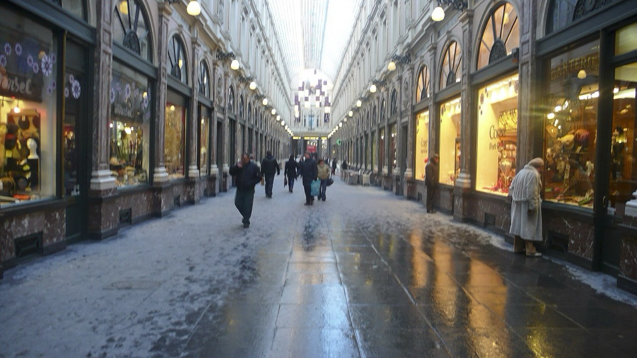 Royal Saint-Hubert Galleries