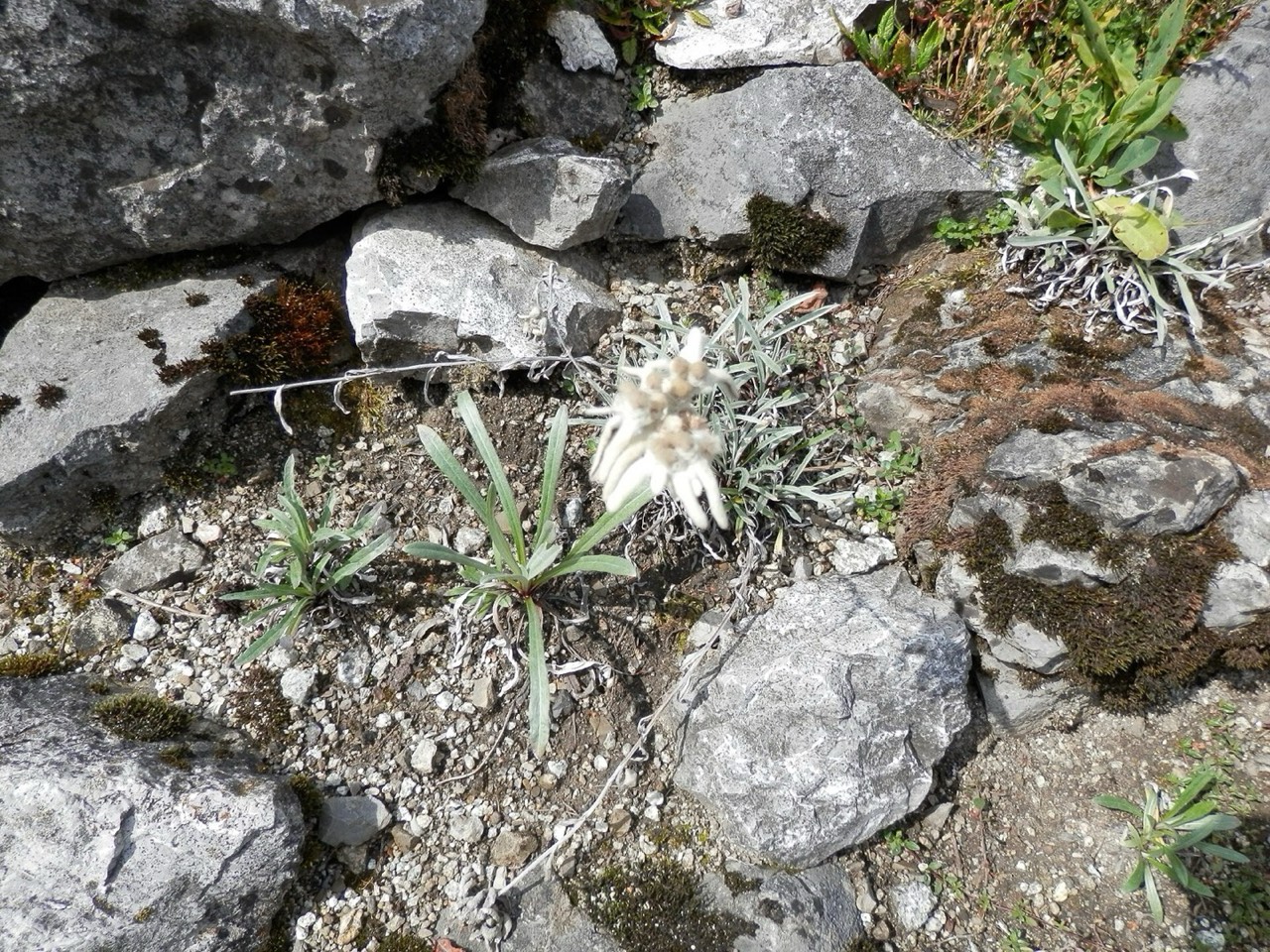 Botanical Garden — Tatra Nature Exhibition