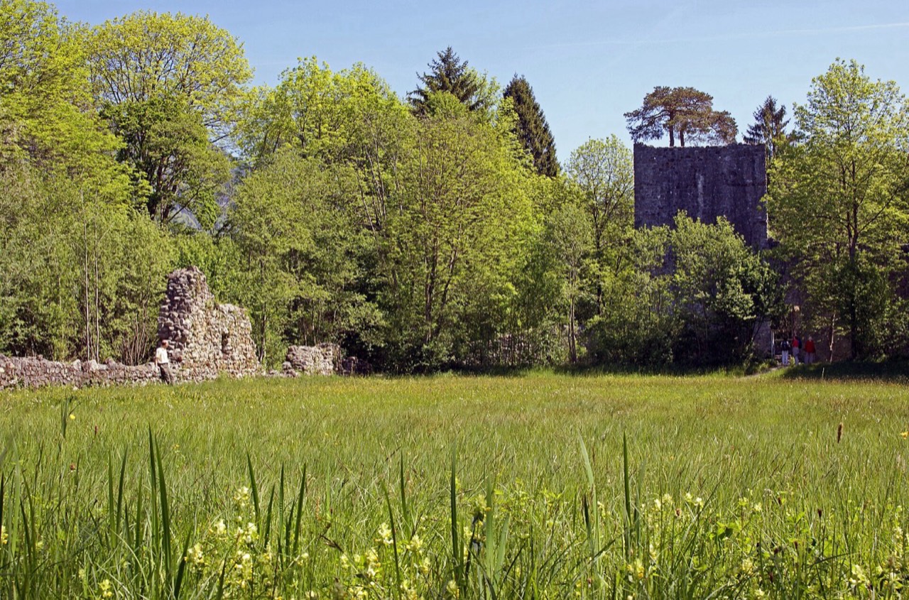 Weissenau Castle Ruins