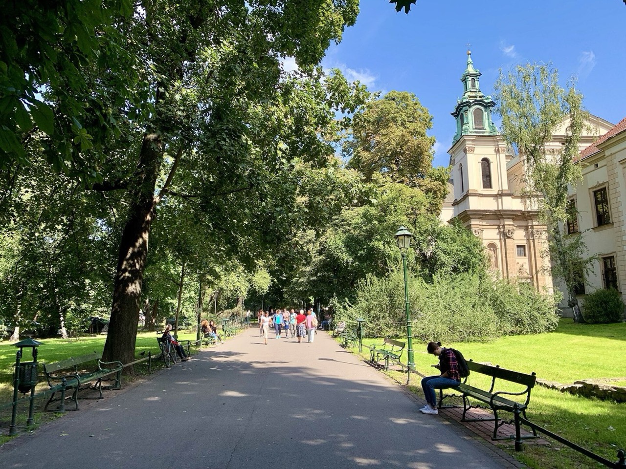 Планты у старых стен