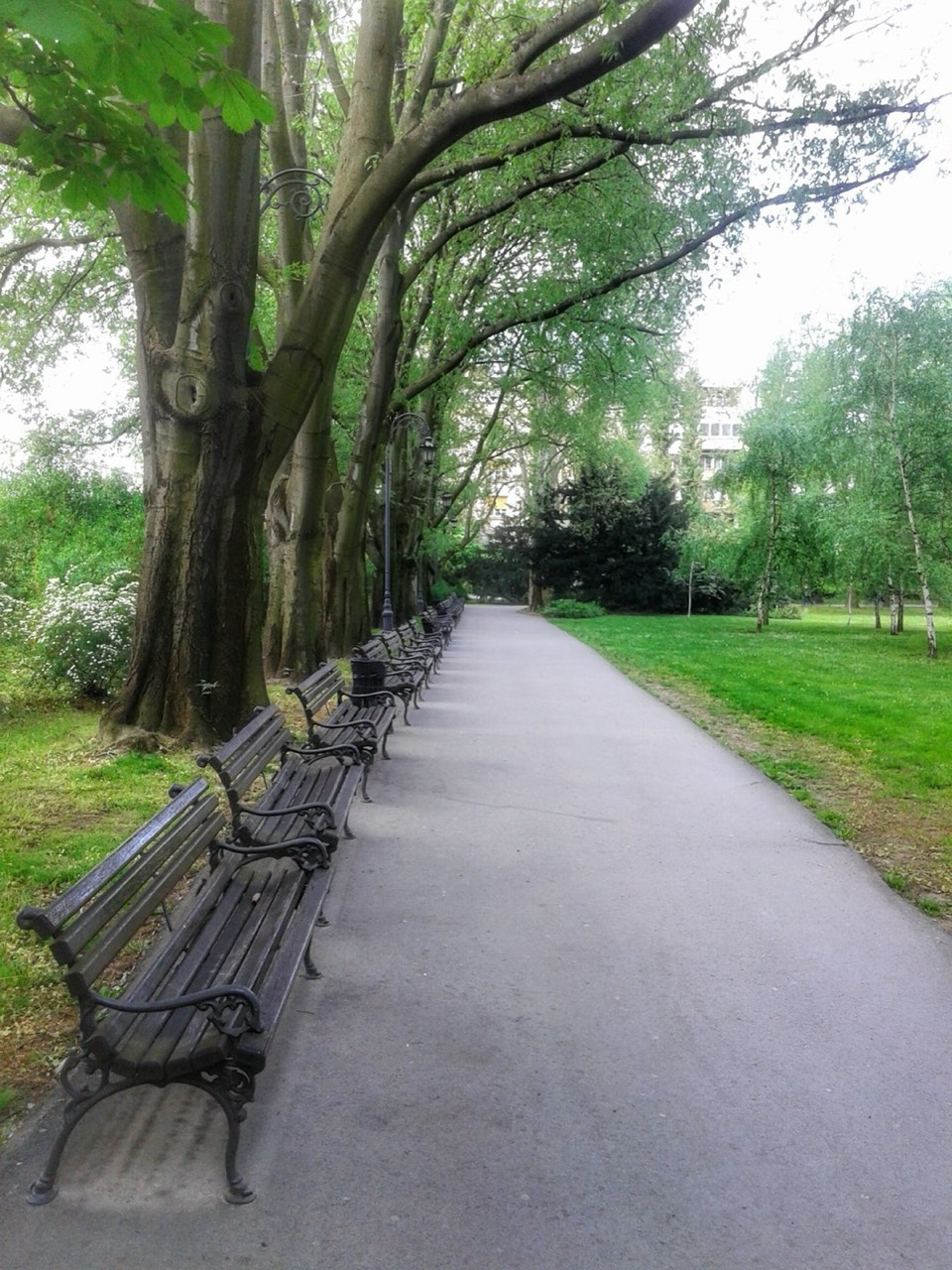 Danube Park