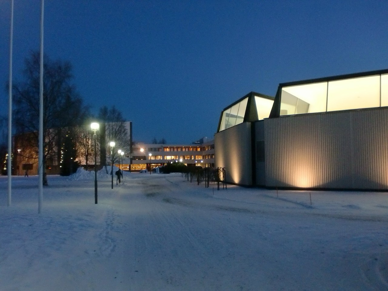 Aalto Library