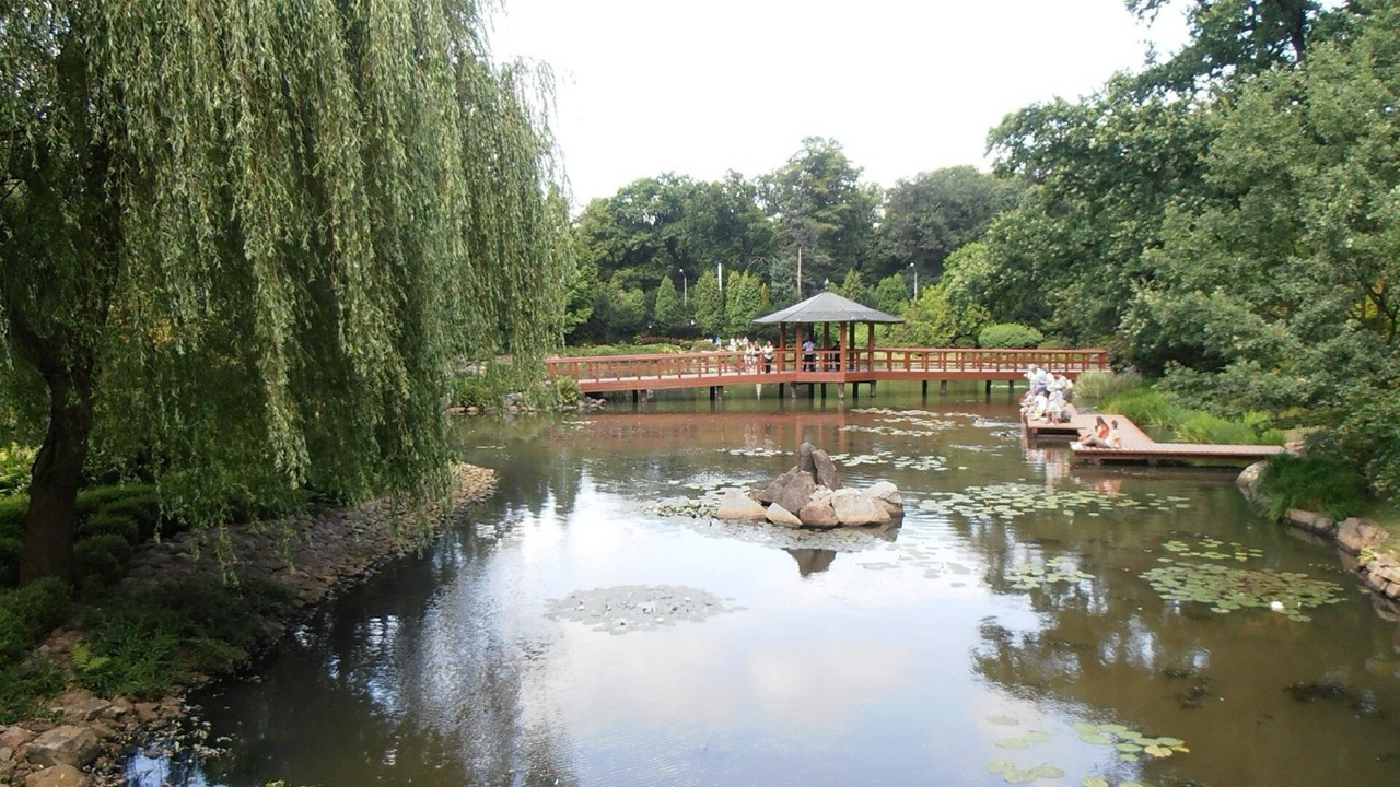 Japanese Garden